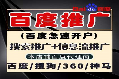 成功案例：专业SEM托管助力电商销售额翻倍