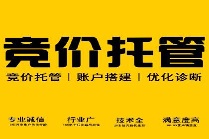 百度推广代运营公司案例：创意广告设计助力品牌崛起